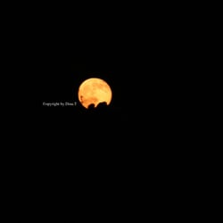 Moon Mai 2014 © by Dina.T