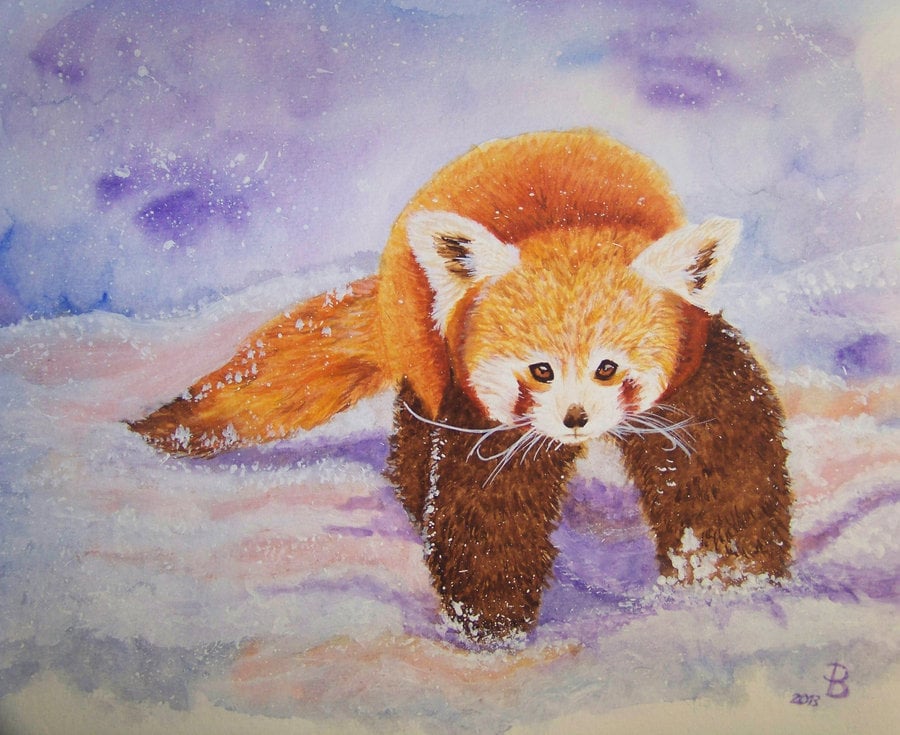 Kleiner Panda