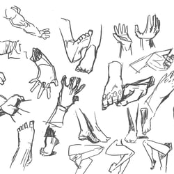 Anatomie