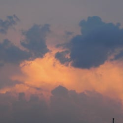 Natur 2012