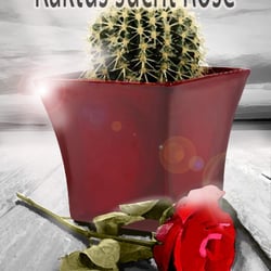 Kaktus sucht Rose2