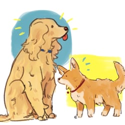 Dogs