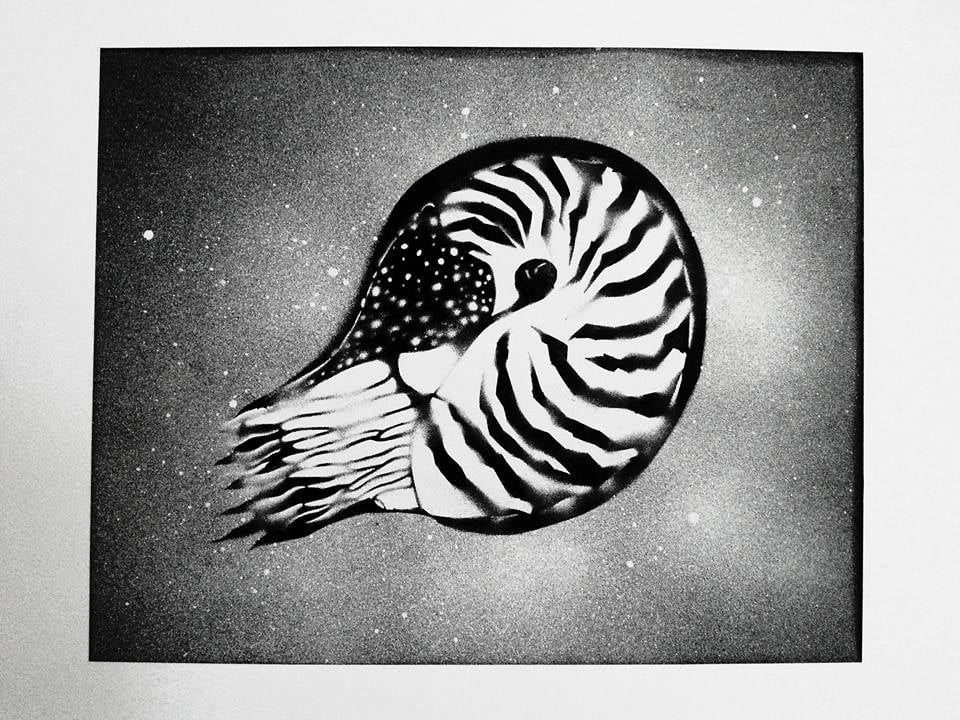 Nautilus