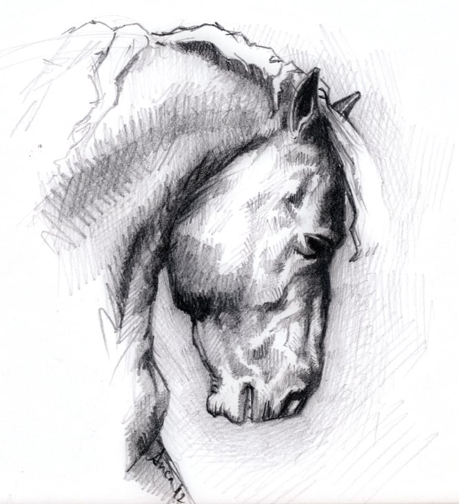 Pferd