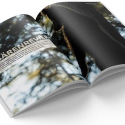 33 % Das Waldmagazin