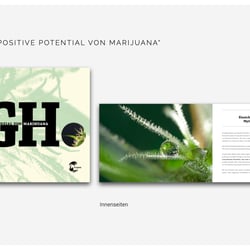 Portfolio Strategic Marketing und Konzeption