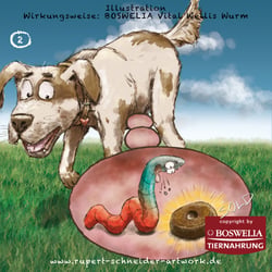 Wirkungsweise Wurmwellis, 2 von 3