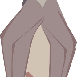 Fledermäuse (ein Arbeitskreis)