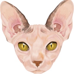 SphynxCat