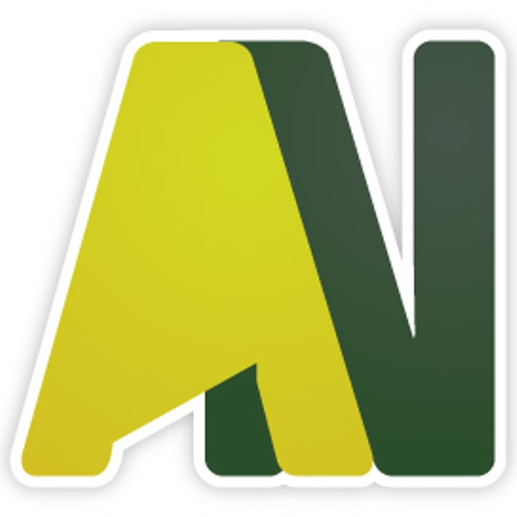 Anthony Noel