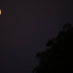 Moon – Jun. 2014 © by Dina.T