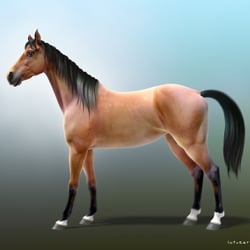 „Horse“ 3D Character for Game