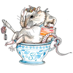 Ratte