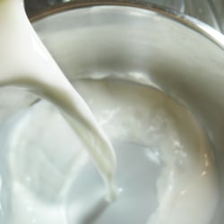 Photo-Series „White“ (3)
