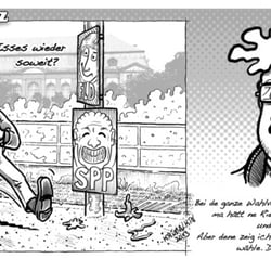Zweite Folge: Wahlen 2013