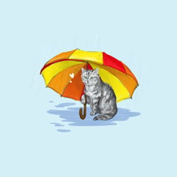 Sammy liebt Regen