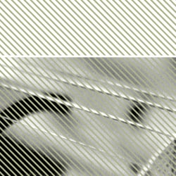 THIESSEN GEIGENBAU / Corporate Design