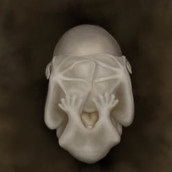 Fledermaus