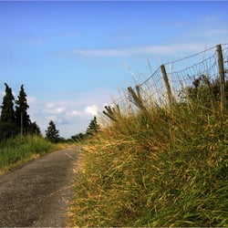 Weg in der Landschaft 5549k
