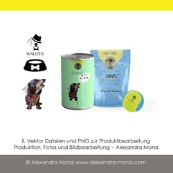 Portfolio Package Design
