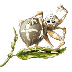 Kreuzspinne 02