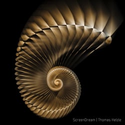 Shell of Light