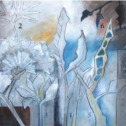 Biodiversity 2016 Manuela Rose