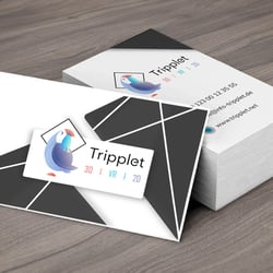 Logo und Visitenkartendesign