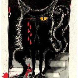kater1