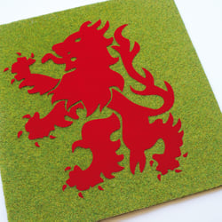 Middlesbrough Fotoball – Editorial Design