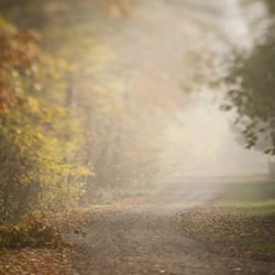 Herbstliche Landschaft