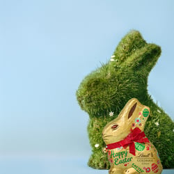 composed mit Originalhase