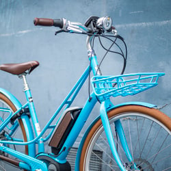 Diamant eBike