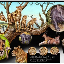 7. Tiere