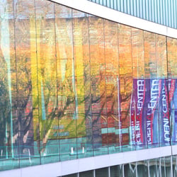 P. Center 2012 – D.T