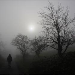 Nebelmorgen 3