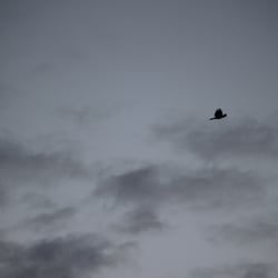 Natur 2012