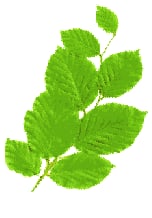 Jung-Schreiberei
