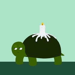 Geburstagskarte Schildkröte