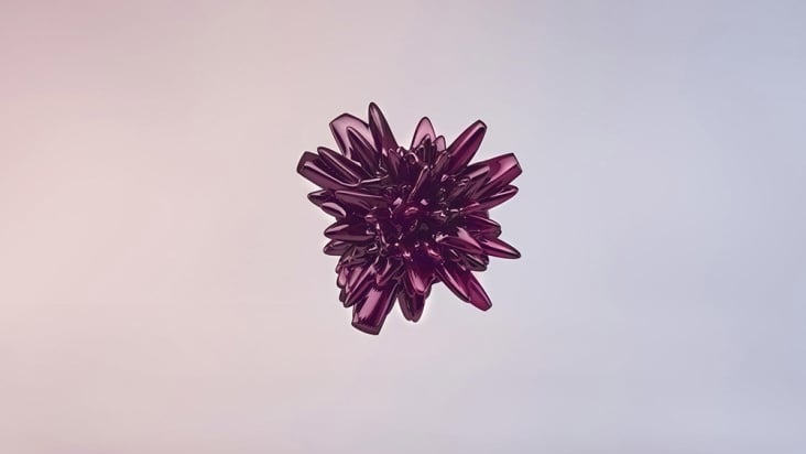 Future Candy