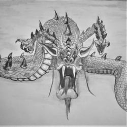 drache
