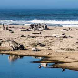 Pacific Coast