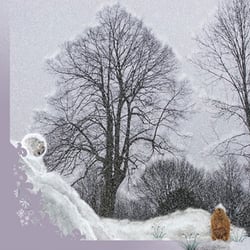 Kinderbuch: Regalitos Suche