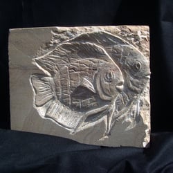 Diskusfische (Relief)