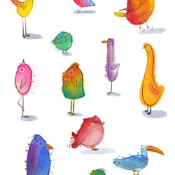 Paradiesvögel