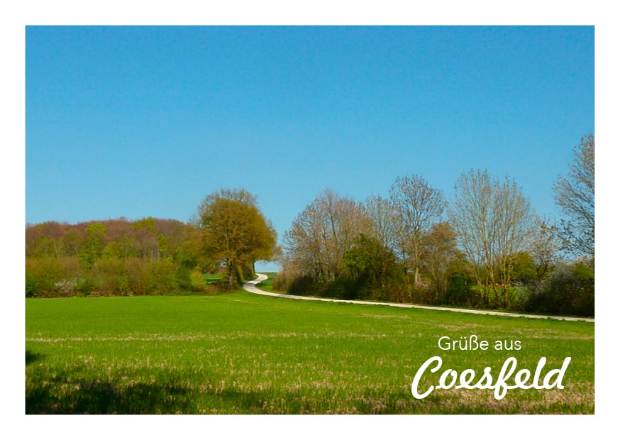 auf dem Coesfelder Berg