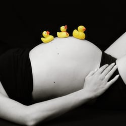 Enten-Familie