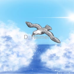 Flugkunst