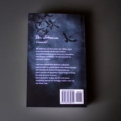 Buchcover – Der dunkle Schwarm von Ingo Litschka