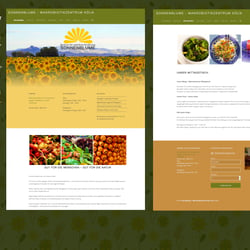 Maßgeschneiderte WordPress Seite für einen Naturkost- laden – basierend auf dem responsiven Auberge Restaurant Template